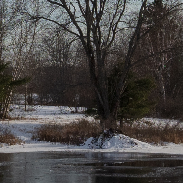 Tamron 15-30mm f/2.8 Di VC USD G2 Review: Field Test -- Gallery Image