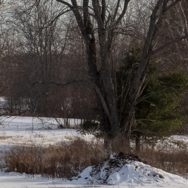 Tamron 15-30mm f/2.8 Di VC USD G2 Review: Field Test -- Gallery Image