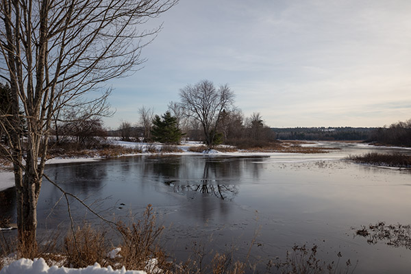 Tamron 15-30mm f/2.8 Di VC USD G2 Review: Field Test -- Gallery Image