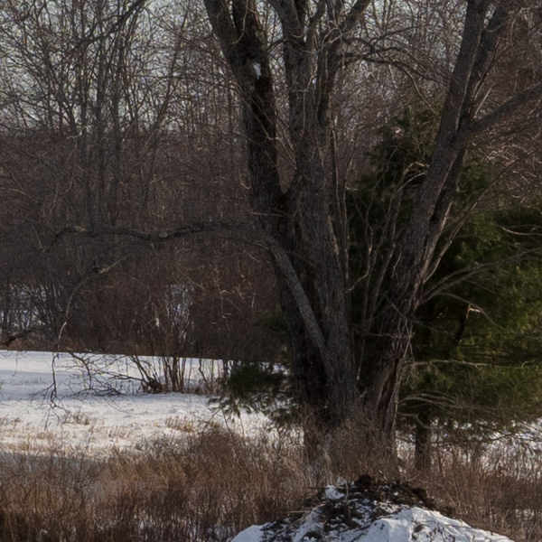 Tamron 15-30mm f/2.8 Di VC USD G2 Review: Field Test -- Gallery Image