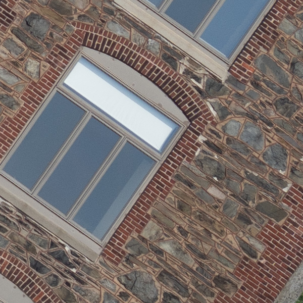 Tamron 150-500mm f/5-6.7 Di III VC VXD Review: Field Test -- Gallery Image