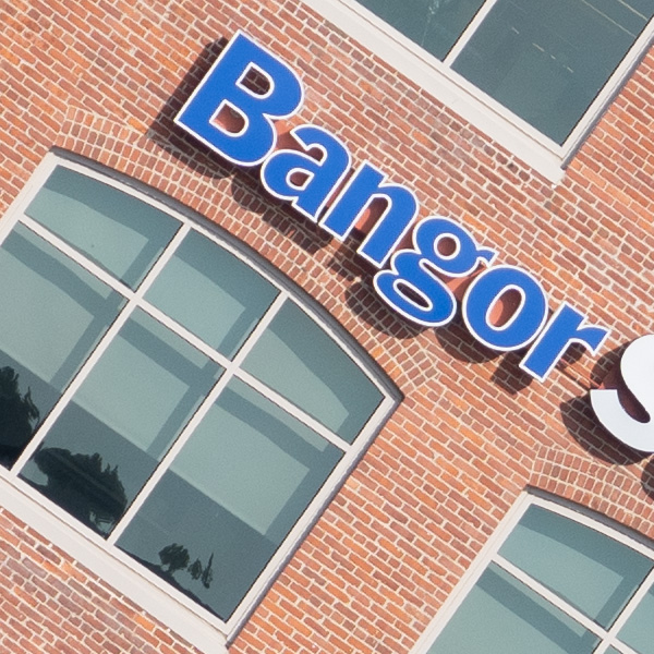 Tamron 150-500mm f/5-6.7 Di III VC VXD Review: Field Test -- Gallery Image