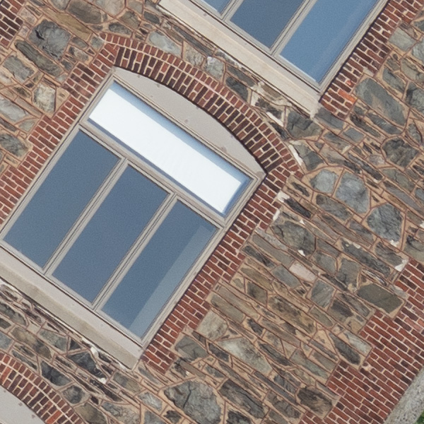 Tamron 150-500mm f/5-6.7 Di III VC VXD Review: Field Test -- Gallery Image