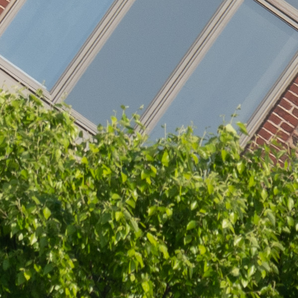 Tamron 150-500mm f/5-6.7 Di III VC VXD Review: Field Test -- Gallery Image