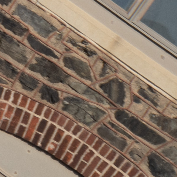 Tamron 150-500mm f/5-6.7 Di III VC VXD Review: Field Test -- Gallery Image