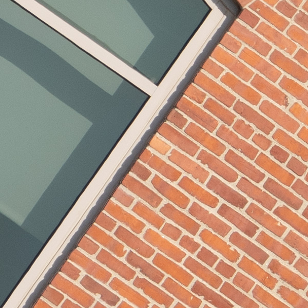 Tamron 150-500mm f/5-6.7 Di III VC VXD Review: Field Test -- Gallery Image