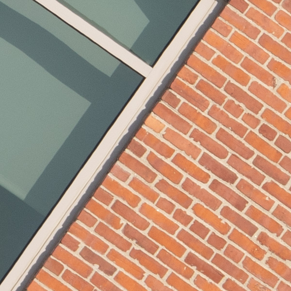 Tamron 150-500mm f/5-6.7 Di III VC VXD Review: Field Test -- Gallery Image