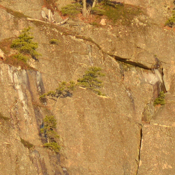 Tamron 150-600mm f/5-6.3 Di VC USD G2 Review: Field Test -- Gallery Image