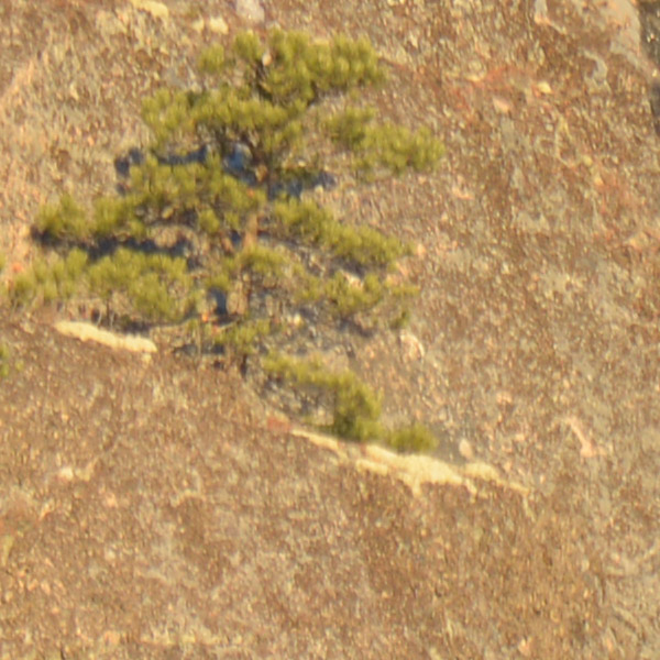 Tamron 150-600mm f/5-6.3 Di VC USD G2 Review: Field Test -- Gallery Image