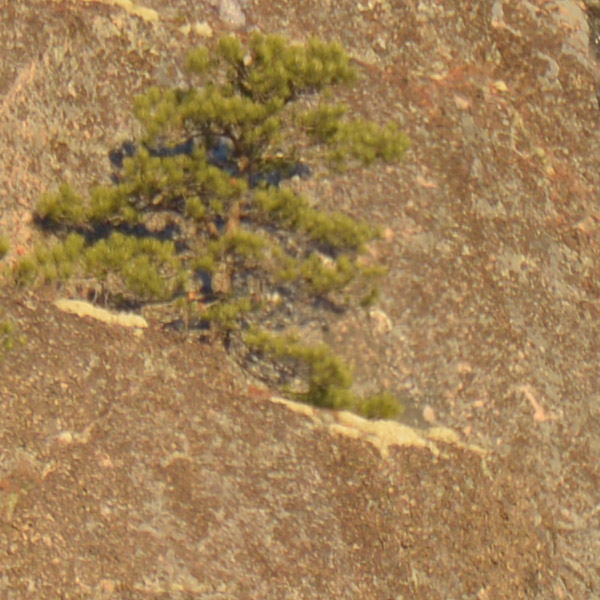 Tamron 150-600mm f/5-6.3 Di VC USD G2 Review: Field Test -- Gallery Image