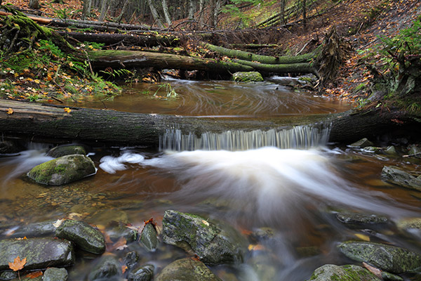 Tamron 17-35mm f/2.8-4 Di OSD Review: Field Test -- Gallery Image