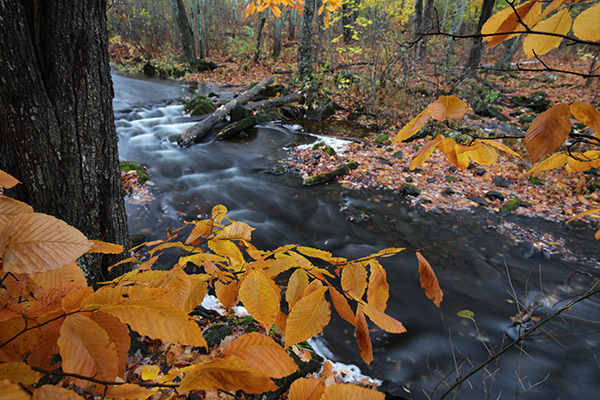Tamron 17-35mm f/2.8-4 Di OSD Review: Field Test -- Gallery Image