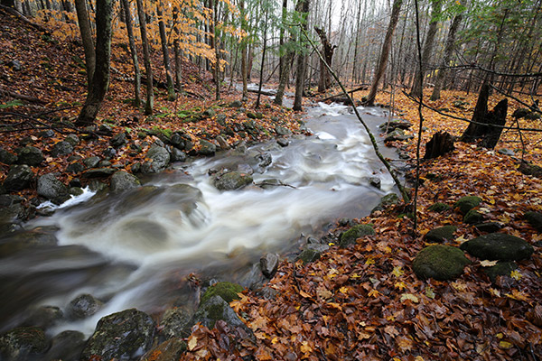 Tamron 17-35mm f/2.8-4 Di OSD Review: Field Test -- Gallery Image