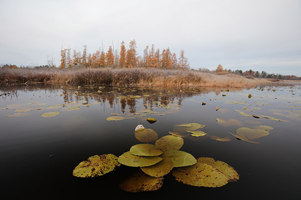 Tamron 17-35mm f/2.8-4 Di OSD Review: Field Test -- Gallery Image