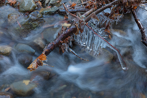Tamron 17-35mm f/2.8-4 Di OSD Review: Field Test -- Gallery Image