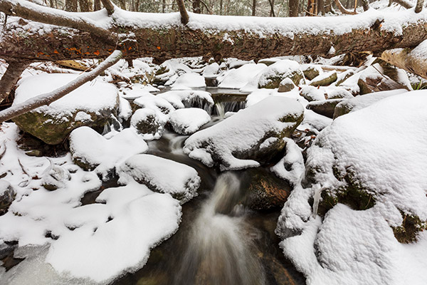 Tamron 17-35mm f/2.8-4 Di OSD Review: Field Test -- Gallery Image