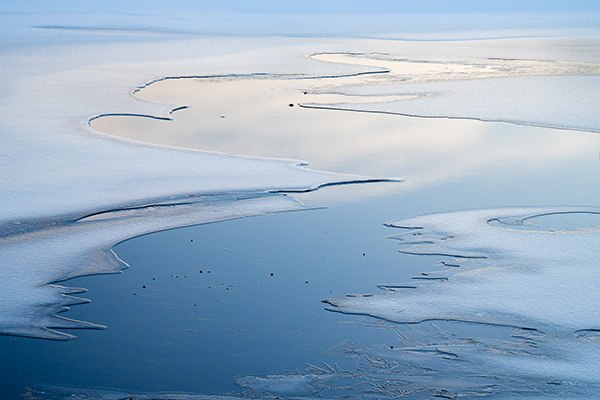 Tamron 17-70mm f/2.8 Di III-A VC RXD Review: Field Test -- Gallery Image