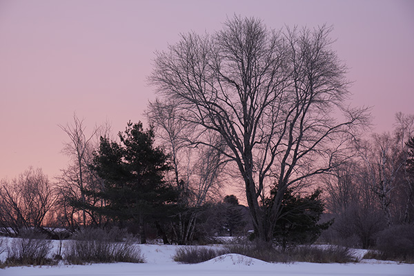 Tamron 17-70mm f/2.8 Di III-A VC RXD Review: Field Test -- Gallery Image