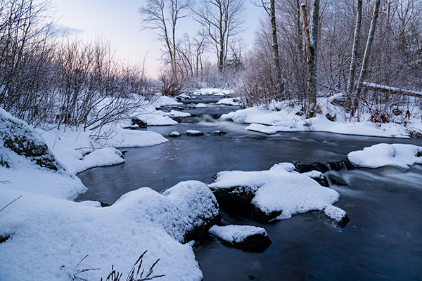 Tamron 17-70mm f/2.8 Di III-A VC RXD Review: Field Test -- Gallery Image