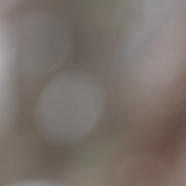 Tamron 17-70mm f/2.8 Di III-A VC RXD Review: Field Test -- Gallery Image