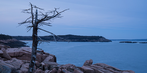 Tamron 17-70mm f/2.8 Di III-A VC RXD Review: Field Test -- Gallery Image