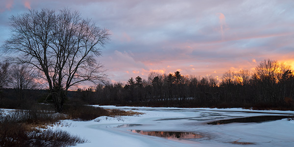 Tamron 17-70mm f/2.8 Di III-A VC RXD Review: Field Test -- Gallery Image