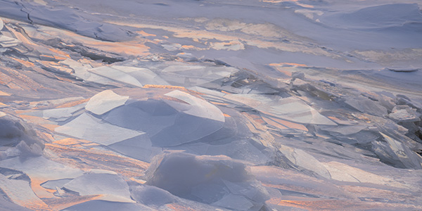 Tamron 17-70mm f/2.8 Di III-A VC RXD Review: Field Test -- Gallery Image