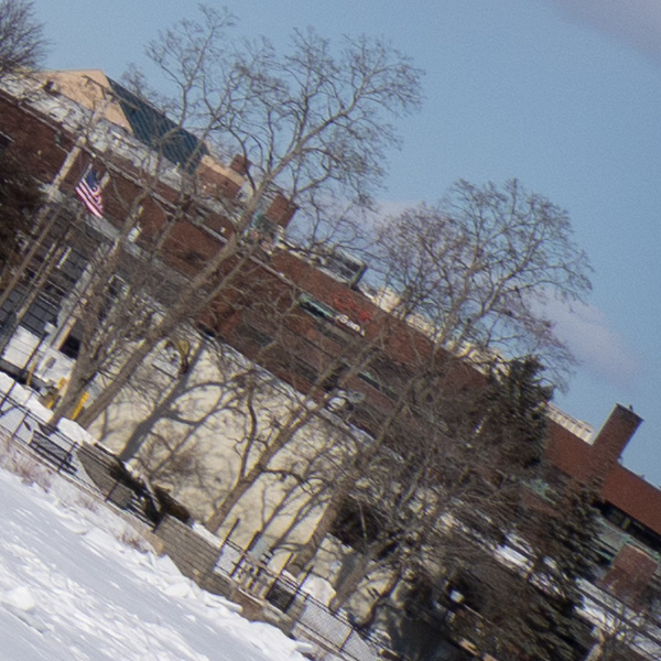 Tamron 17-70mm f/2.8 Di III-A VC RXD Review: Field Test -- Gallery Image