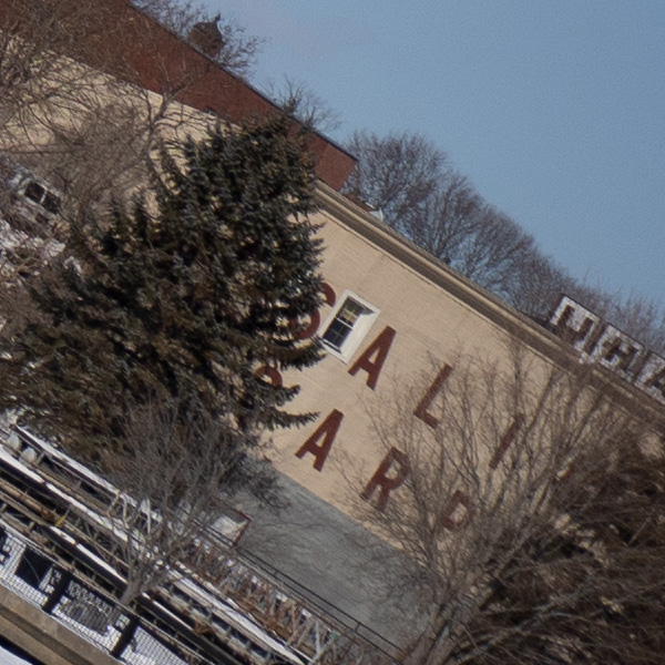 Tamron 17-70mm f/2.8 Di III-A VC RXD Review: Field Test -- Gallery Image