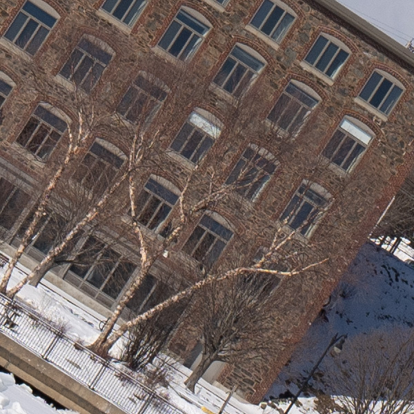 Tamron 17-70mm f/2.8 Di III-A VC RXD Review: Field Test -- Gallery Image