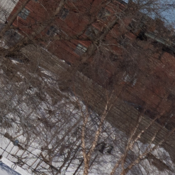 Tamron 17-70mm f/2.8 Di III-A VC RXD Review: Field Test -- Gallery Image