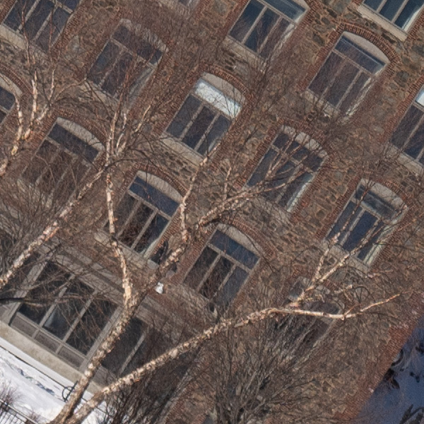 Tamron 17-70mm f/2.8 Di III-A VC RXD Review: Field Test -- Gallery Image