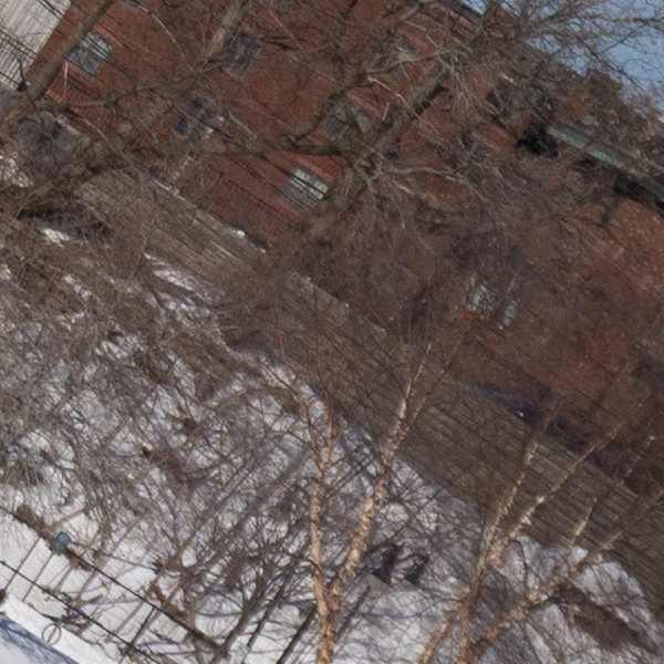 Tamron 17-70mm f/2.8 Di III-A VC RXD Review: Field Test -- Gallery Image