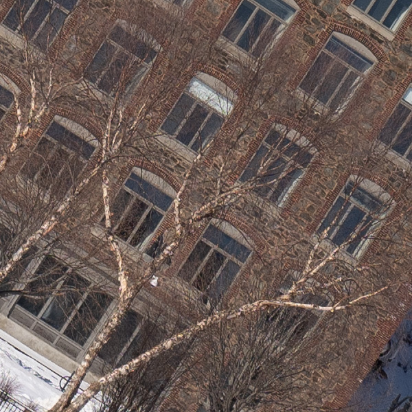 Tamron 17-70mm f/2.8 Di III-A VC RXD Review: Field Test -- Gallery Image