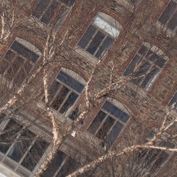 Tamron 17-70mm f/2.8 Di III-A VC RXD Review: Field Test -- Gallery Image