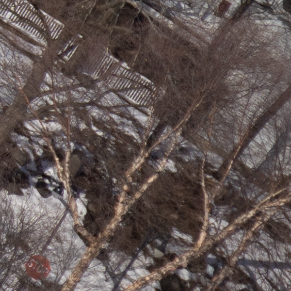 Tamron 17-70mm f/2.8 Di III-A VC RXD Review: Field Test -- Gallery Image