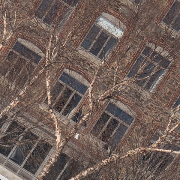 Tamron 17-70mm f/2.8 Di III-A VC RXD Review: Field Test -- Gallery Image