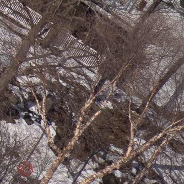 Tamron 17-70mm f/2.8 Di III-A VC RXD Review: Field Test -- Gallery Image