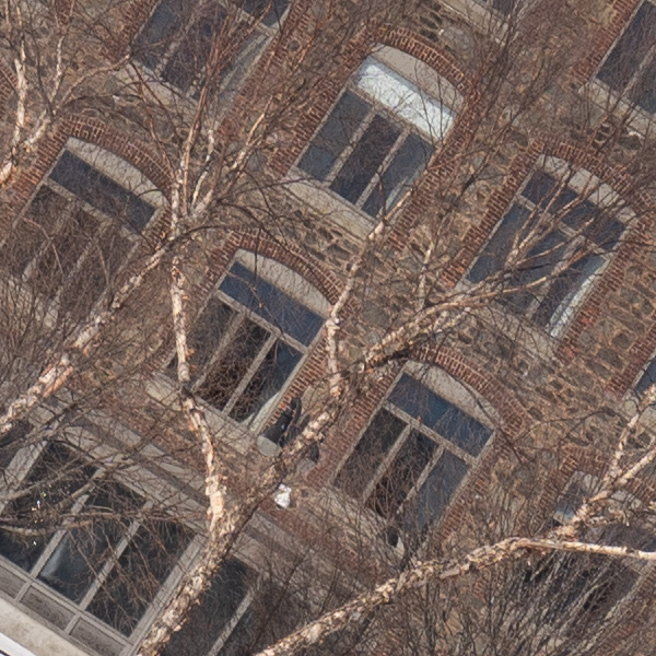 Tamron 17-70mm f/2.8 Di III-A VC RXD Review: Field Test -- Gallery Image