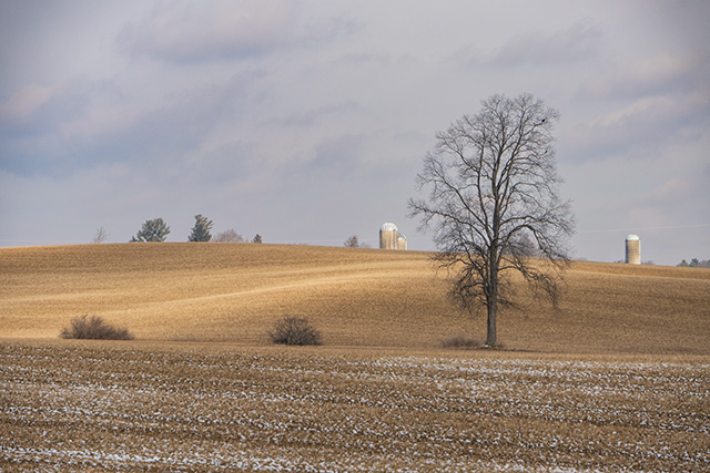 Tamron 18-300mm F3.5-6.3 VC VXD Review -- Gallery Image