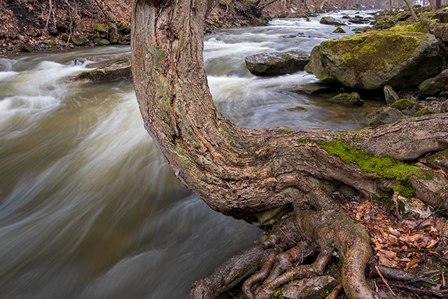 Tamron 18-300mm F3.5-6.3 VC VXD Review -- Gallery Image