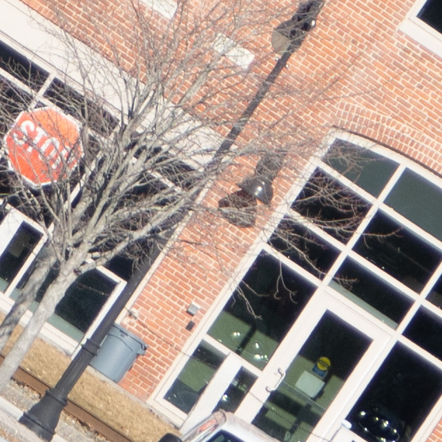 Tamron 18-300mm F3.5-6.3 VC VXD Review -- Gallery Image