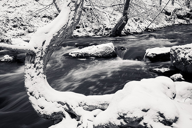 Tamron 28-75mm F2.8 Di III VXD Review -- Gallery Image