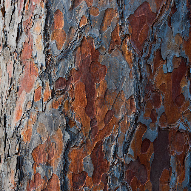 Tamron 28-75mm F2.8 Di III VXD Review -- Gallery Image