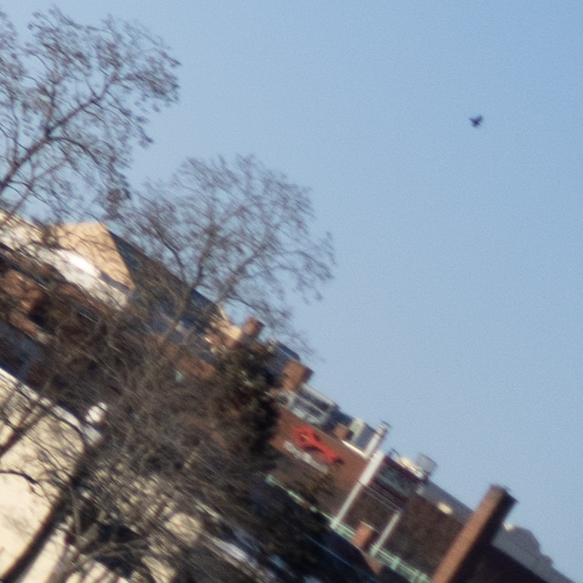 Tamron 28-75mm F2.8 Di III VXD Review -- Gallery Image