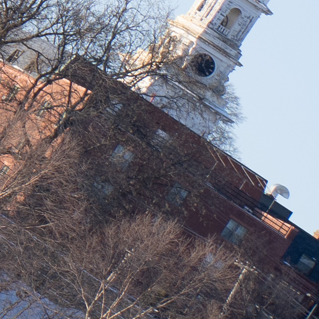 Tamron 28-75mm F2.8 Di III VXD Review -- Gallery Image