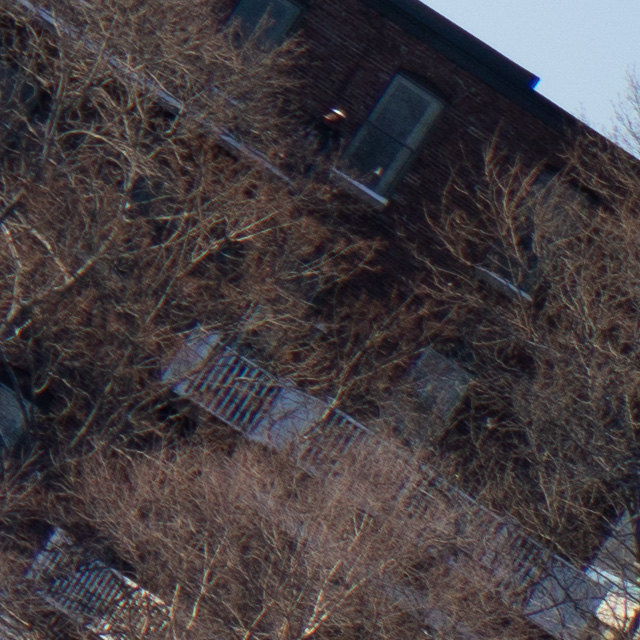 Tamron 28-75mm F2.8 Di III VXD Review -- Gallery Image