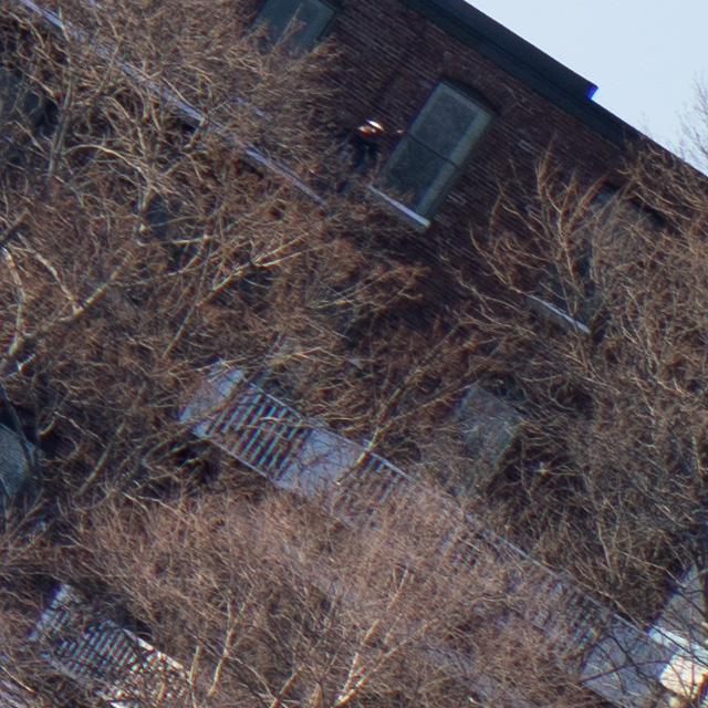 Tamron 28-75mm F2.8 Di III VXD Review -- Gallery Image