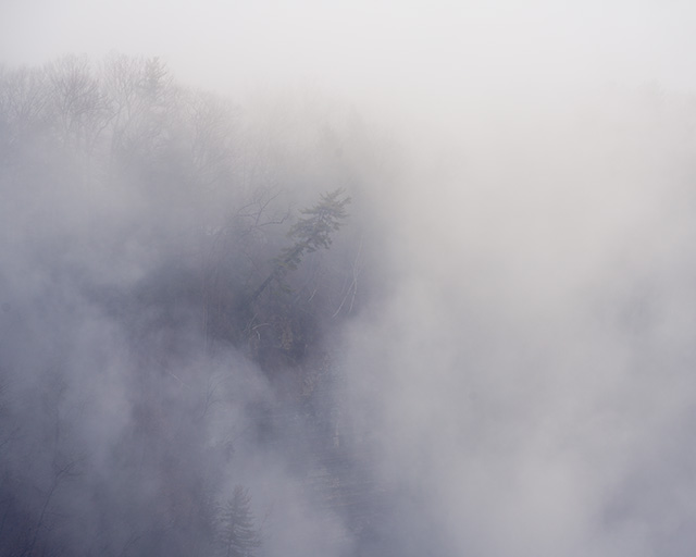 Tamron 35-150mm F2-2.8 Di III VXD Review -- Gallery Image