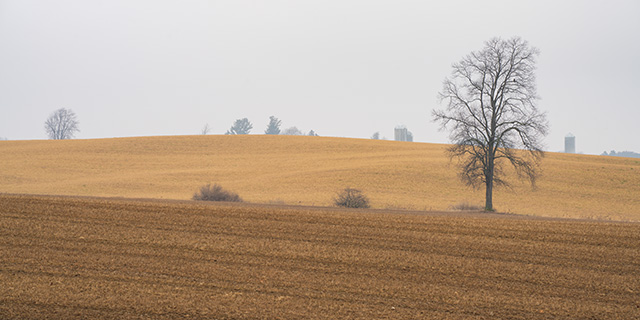 Tamron 35-150mm F2-2.8 Di III VXD Review -- Gallery Image